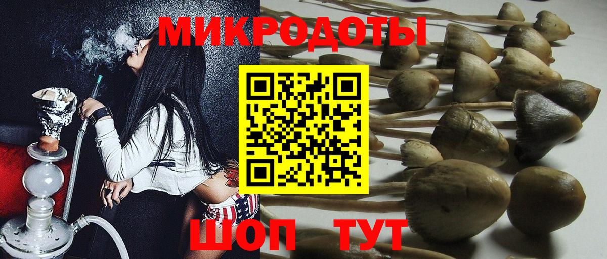 Псилоцибиновые грибы Psilocybine cubensis  где можно купить   Заволжье  Вход с VPN  Галлюциногенные грибы GOLDEN TEACHER 
